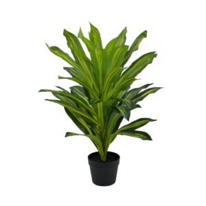 Artificial Dracaena Fragrans Plant - With Vibrant Green And Yellow Leaves - Green, 80 cm