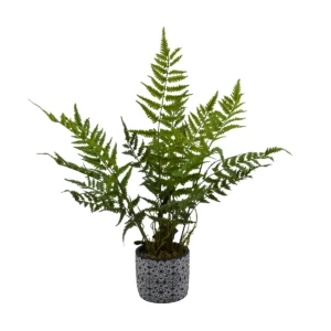 Potted Fern - Green, 60 cm