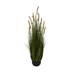 Dogtail Onion Grass - 17 Head - Potted - Green, red, 120 cm