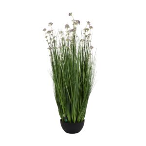 Leek Flower Onion Grass - 22 Head - Potted - Green, purple, 120 cm
