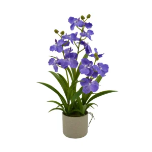 Vanda Orchid Potted - Purple, 63 cm