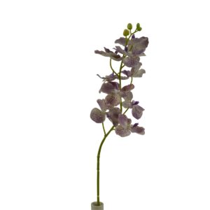 Vanda Orchid Branch - Purple, 89 cm