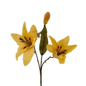 Lilium - 3 Head - Cream, 53 cm