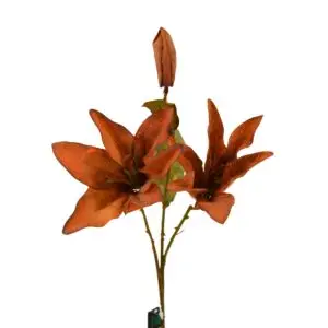 Lilium - 3 Head - Orange, 53 cm