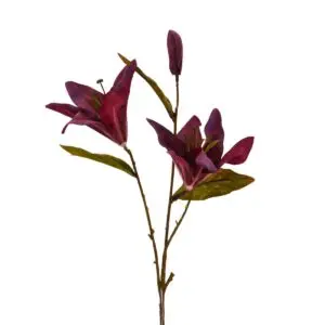 Lilium - 3 Head - Red, 53 cm