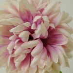 Artificial Chrysanthemum - Purple, 55 cm Detailed shot flower leaves Chrysant
