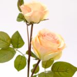Rose Artificial Flower 3 Head - Pink 68 cm Detailed shot rose leaves