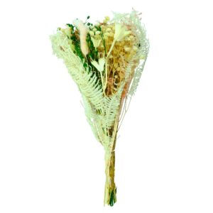 Dried Flower Bouquet Elegant Pastel & Cream