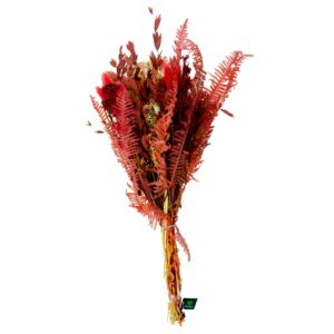 Dried Flower Bouquet with Burgundy Ferns, Bunny Tails & Cream Accents