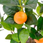 Artificial Mandarin Tree In Ceramic Pot Lifelike Orange Mandarins Detailed Shot Pebbels Green leaves