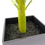 Artificial Fern Palm In Black Pot - Green, 70 cm Detailed shot Square pot