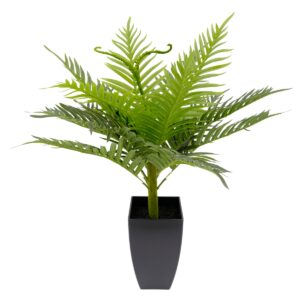 Artificial Fern Palm In Black Pot - Green, 70 cm