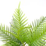 Artificial Fern Palm In Black Pot - Green, 70 cm Detailed shot Square pot