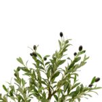 Artificial Small Olive Tree Black White Ceramic Pot Pebbels Olive leaves Detailed shot