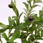 Artificial Small Olive Tree Black White Ceramic Pot Pebbels Olive leaves Detailed shot