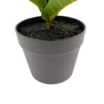 Artificial Ficus Lyrata - Fiddle Leaf Fig Tree - Green, 62 cm Detailed shot, fig leaf black pot