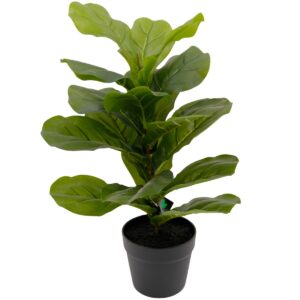 Artificial Ficus Lyrata - Fiddle Leaf Fig Tree - Green, 62 cm