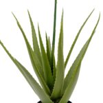 Artificial Aloe Vera Plant With Orange And Yellow Flower - Green, 80 cm Black pot detailed shot Leafs