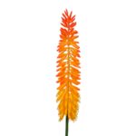 Artificial Aloe Vera Plant With Orange And Yellow Flower - Green, 80 cm Black pot detailed shot Leafs