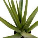 Artificial Aloe Vera Plant With Orange And Yellow Flower - Green, 80 cm Black pot detailed shot Leafs