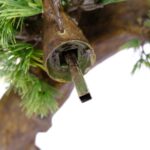 Large Artificial Bonsai Pine Tree With Textured Trunk 8 feet Artificial plant, detailed shot, Cypres bonsai tree fiberglas
