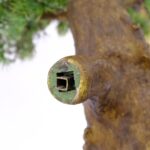 Large Artificial Bonsai Pine Tree With Textured Trunk 8 feet Artificial plant, detailed shot, Cypres bonsai tree fiberglas