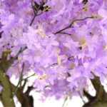 Artificial Purple Blossomtree 310 cm blossoms flowers detailed shots textured trunk wood like