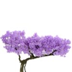 Artificial Purple Blossomtree 310 cm blossoms flowers detailed shots textured trunk wood like