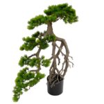 Artificial Japanese Pine Bonsai Tree With Exposed Roots black pot pine leaves Detailed shot