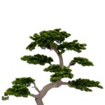 Artificial Pine Bonsai Tree Japanese Style 190 cm Cypress pine detailed shots textured trunk