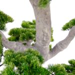 Artificial Pine Bonsai Tree Japanese Style 190 cm Cypress pine detailed shots textured trunk