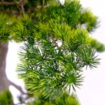 Artificial Pine Bonsai Tree 130 cm Fiberglass trunk, wood textured Green pine leaves detailed shot