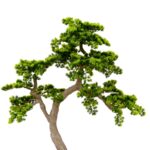 Artificial Pine Bonsai Tree 130 cm Fiberglass trunk, wood textured Green pine leaves detailed shot