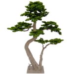 Artificial Pine Bonsai Tree With Dual Trunks - Green, 200 cm