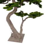 Artificial Pine Bonsai Tree With Dual Trunks 200 cm Detailed Shots