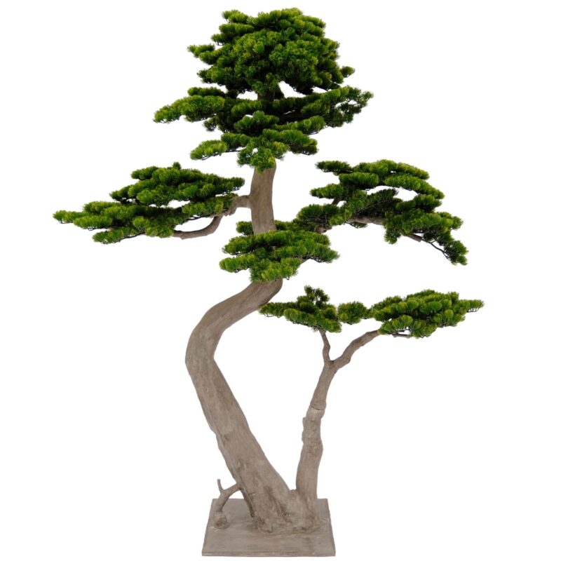 Artificial Pine Bonsai Tree With Dual Trunks - Green, 200 cm