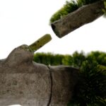Artificial Pine Bonsai Tree – Dual Trunks - Green, 230 cm Detailed shots