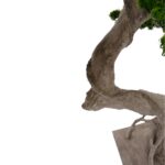 Artificial Pine Bonsai Tree – Dual Trunks - Green, 230 cm Detailed shots