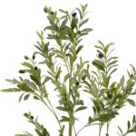 Artificial Olive Tree With Black Olives - Green, 120 cm Detailed shots black pot textured trunk olive leaves