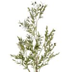Artificial Olive Tree – Realistic Leaves With Black Olives - Green, 150 cm Detailed Shots black pot textured trunk