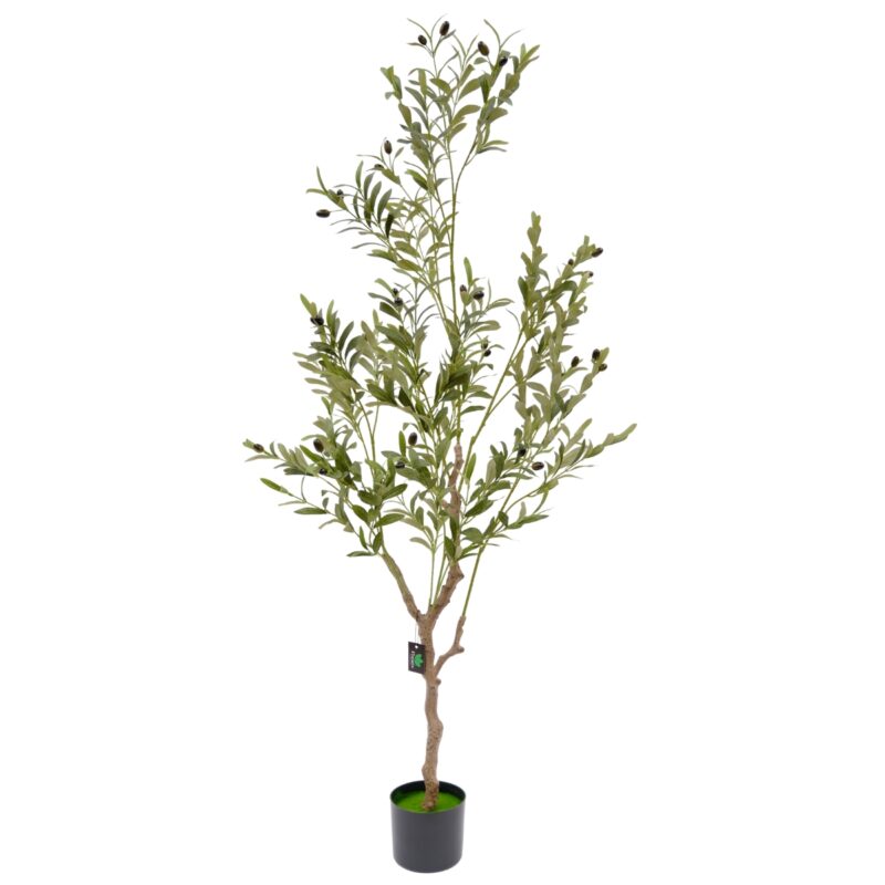Artificial Olive Tree – Realistic Leaves With Black Olives - Green, 150 cm