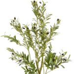 Artificial Olive Tree Green 160 cm Realistic trunk, Black pot Black olives Detailed images olive leaves