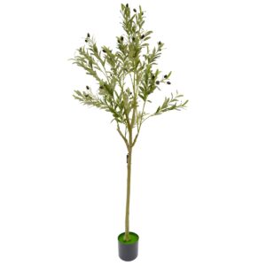 Artificial Olive Tree - Green, 160 cm