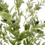 Artificial Olive Tree - Realistic Green Leafs & Black Olives - Green, 180 cm Black Pot Detailed shots textured trunk