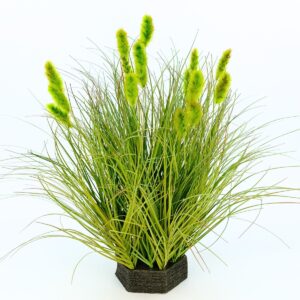 Caterpillar Onion Grass - 18 Head- Pe Foam - green, 50 cm