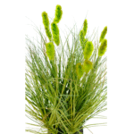Caterpillar Onion Grass 18 head UV-Resistant, Detailed shot