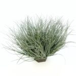 Onion Grass - Pe Foam - UV-Resistant - Dark Green - 38 cm