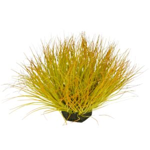Onion Grass - Pe Foam - Yellow - Orange, 28 cm