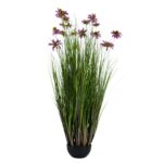 Chrysanth Onion Grass - 14 Head - Potted - UV-Resistant - Green, purple, 120 cm
