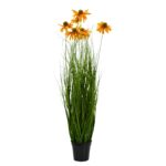 Chrysanth Onion Grass - 6 Head - Potted - Green, yellow, 100 cm